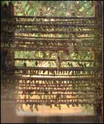 View of Stratford Butterfly Farm