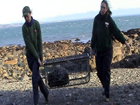 Claire rescues Cyclops the seal from the beach