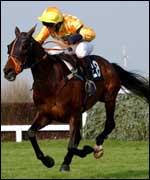 A runner in the Grand National