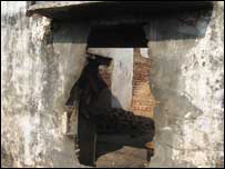  ٹوٹی پھوٹی بھٹی