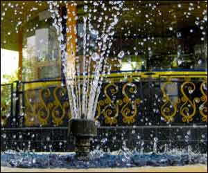 عکس از آرش الياسی