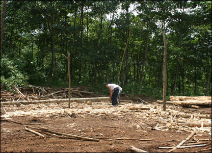 Nơi tái định cư