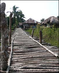 सुंदरबन