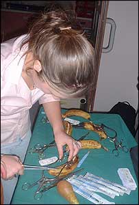 کیلوں اور مالٹوں کی سرجری