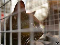 Molly logo depois da libertação