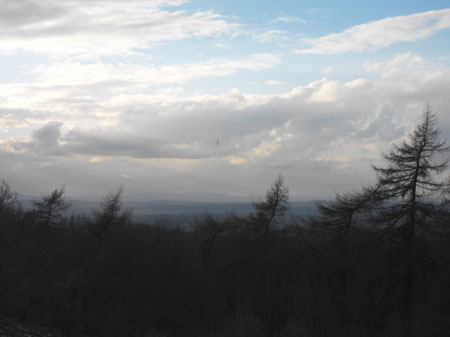 The Clent Hills, Black Country by Richard Billingham