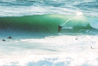 local booger at v v f