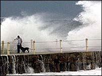 कैटरिना