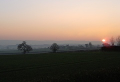 Western Weald