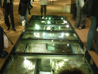 An under-foot  museum display