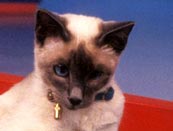 Click for More Pictures