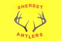 Sherbet Antlers
