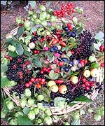 Selection of hedgerow fruit
