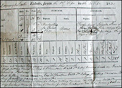 Records from Donnington Castle plantation