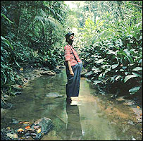 O alemão Julian Rosefeldt colocou um palhaço na floresta tropical brasileira em 'Clown', de 2005
