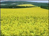 Pesquisa foi realizada durante três anos