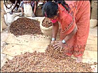 बाज़ार में महुआ