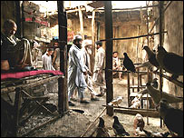 يک پرنده فروشی در کابل