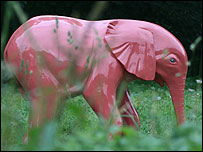 Go Elephants in the Norfolk countryside