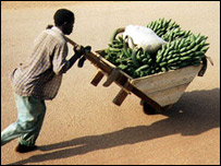 براعظم افریقہ غربت کے شکنجے میں ہے