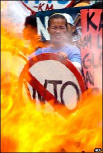 Dünya Ticaret Örgütü'nün amblermini yakan göstericiler