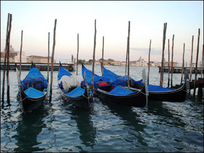 عکس از پریسا عرفانی 