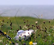 Neil Oliver getting ready to swing the club