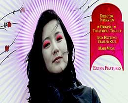 Lady Vengeance DVD
