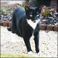 the new slimline Toby