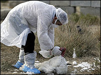 Funcionário da OMS na Grécia