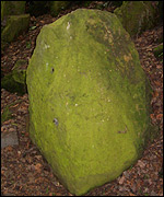 Rock at Secret Garden entrance