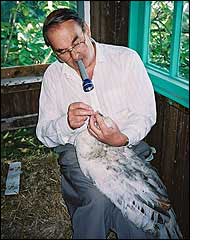 Image: John and peacock