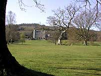 Castlewellan grounds (Image c/o Northern Ireland Forest Service)