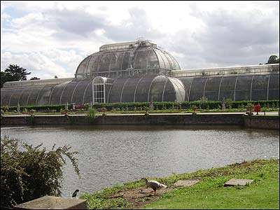 The iconic Palm House at Kew, built 1884-48