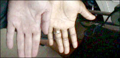 د وينې کمښت 