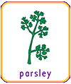 parsley