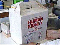 گردوں کا پیکٹ