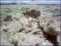 پلوان شريکی