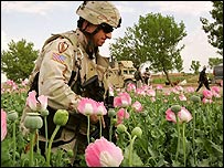 Sĩ quan Mỹ đi tuần tại tỉnh Helmand