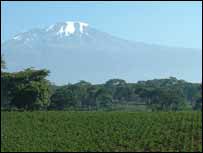 Kilimanjaro