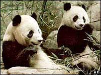 Aumento se deveria a programa de preservação