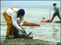 यूरोपीय देशों में अवैध श्रमिक