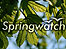 Springwatch