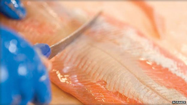 臭鱼由鳟鱼制成