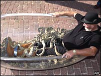 homem com cobras na banheira