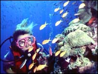 Grande Barreira Coralina, na Austrália