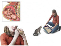 خصوصا نزد خانم ها خوبترين راه وقايه است