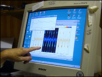 Identifying bat species