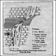 Connie's dissertation