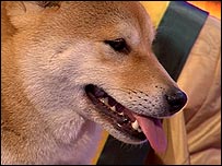 Utility Group winner 2008